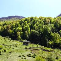روستای زیارت